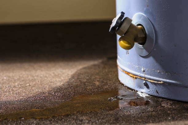 Best Water damage contractors near me  in Maury, NC