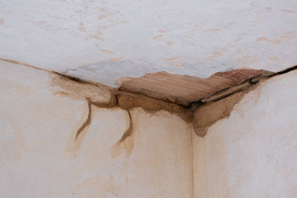 Fire Damage Restoration in Maury, NC
