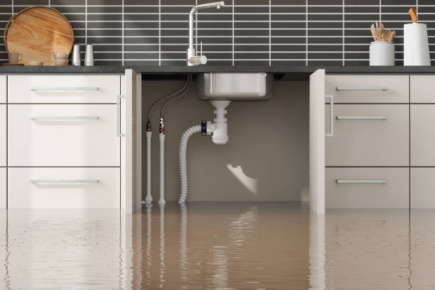 Best Fire Damage Restoration  in Maury, NC