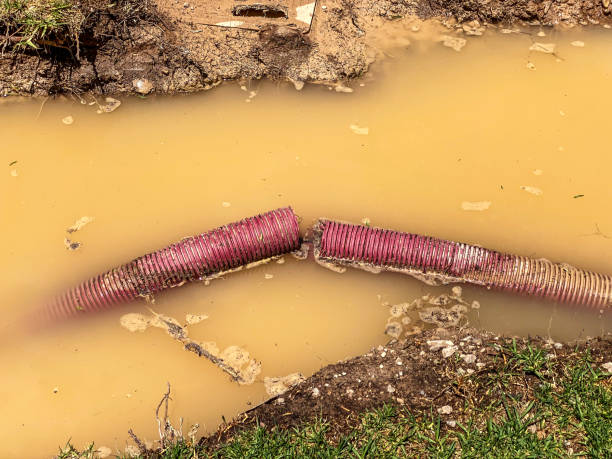  Maury, NC Water damage restoration Pros